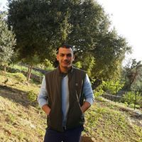 Mohammed Assi
