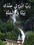 Heba Ahmed
