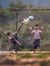 Amrmous...