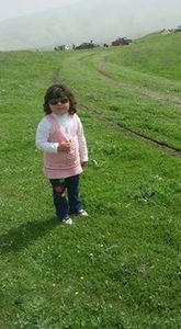 محمد میرانی