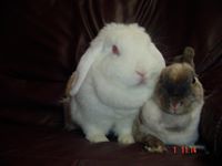 Leslie Stringer Paton