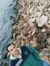 Ahmed S...