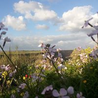 عبدالرزاق الزعبي