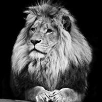 احمد علي حمزه احمد