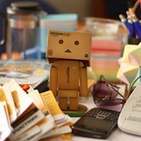 زينب علي المقرب