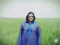 ساري سليمان