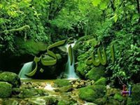 محمد عبد الرحمان