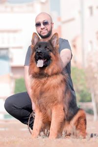 Hassan Ali