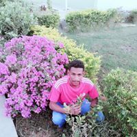 حاتم الكنوز