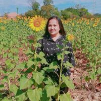 สุชา แก้วเสถียร