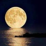 محمد عبد الله