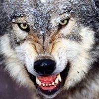 Γιώργος Κοντο