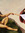 member photo member photo