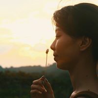 Cao Quy