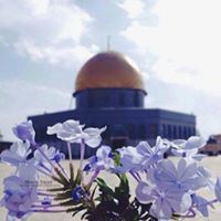 Juman Mufleh