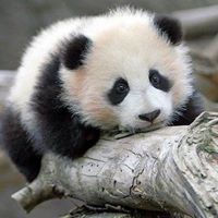 Кирилл Усманов