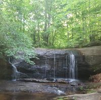 Kiesha Wiggins Johnnson