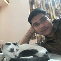 Balasubramanian Raman