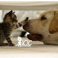 Karpagamsanthakumar Karpagamsanthakumar