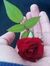 Shakir ...