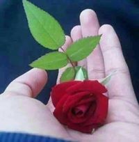 Shakir Smart