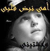 Noha Amr