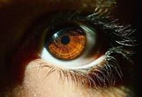 أمل عبد العال