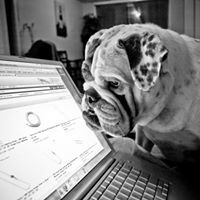 Полина Шестакова