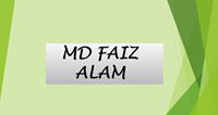 Faiz Alam