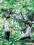 Tinh Ng...