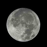 نورهان صلاح