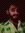 Vijay Viji