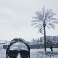 Hassan Almaghrawi