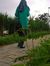Icha Icha