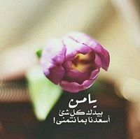 ناهل الشريف