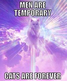 ☆☆☆ absolute book junkie ♤♤♤