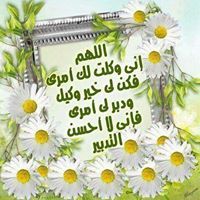 Amany Salah