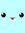 Wisel D...