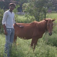 Vijay Prasad