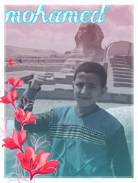 محمد الاحمدى