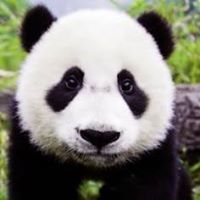 Hannah Cheung
