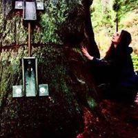 اسراء الغباشي