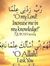 Abdul Moiz