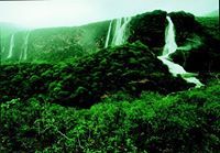 ابراهيم السليماني