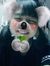 Ank Chie