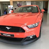 Nithi Mustang