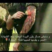 حمودي ابوجواد