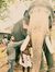Akhil P...