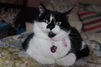 Mitzi Hayward