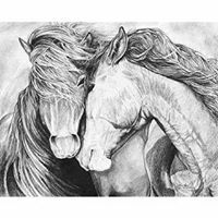 الاء ابراهيم